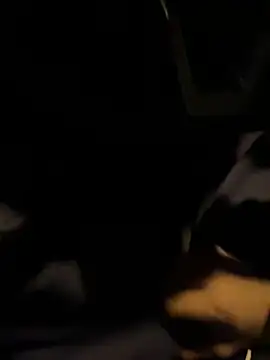 Snapshot of ayrtonmen chatting on 8, 10, 2025 ayrtonmen online show from 8, 10, 2025