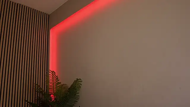 sisi von dee online show from 11, 11, 2025