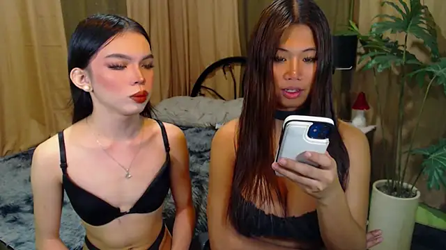 TWINKTRANSSHANEL online show from 12, 10, 2025