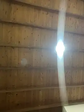 Nhefertary online show from 12, 1, 2026