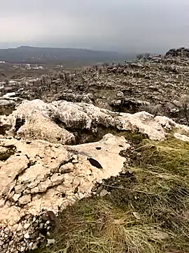 Sert erkek21 ysm online show from 2, 2, 2026