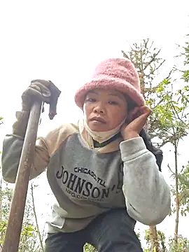 miomio-12 online show from 17, 12, 2025