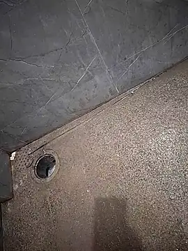 665460 online show from 11, 10, 2025