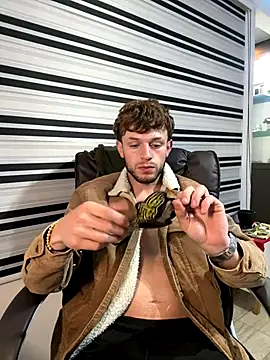 noah red online show from 30, 10, 2025