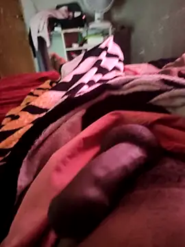 Snapshot of picadme chatting on 6, 10, 2025 picadme online show from 6, 10, 2025