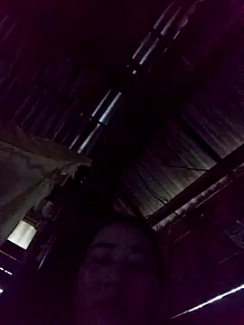 Meo2k1 online show from 16, 11, 2025