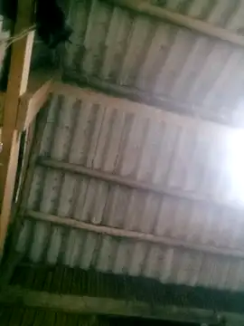 Ducky27021991 online show from 18, 10, 2025