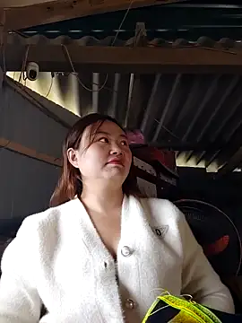 pi-pi-00 online show from 16, 12, 2025