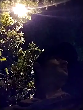 perrongo21 online show from 29, 10, 2025