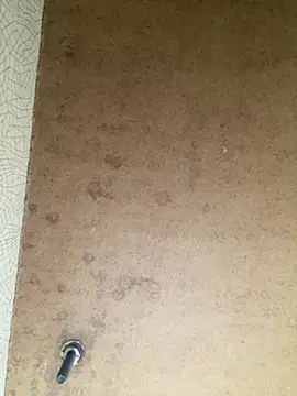 Snapshot of Vita6777 chatting on 19, 11, 2025 Vita6777 online show from 19, 11, 2025