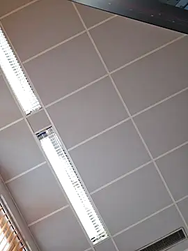 Snapshot of toyboyfin chatting on 10, 10, 2025 toyboyfin online show from 10, 10, 2025