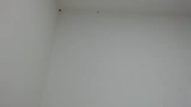 Snapshot of drako_monster chatting on 17, 1, 2026 drako monster online show from 17, 1, 2026