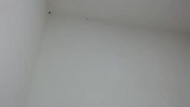 Snapshot of drako_monster chatting on 31, 1, 2026 drako monster online show from 31, 1, 2026