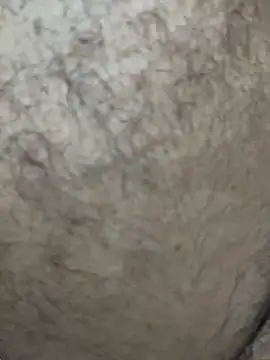 Snapshot of Telugu_dirty_talk_couple chatting on 23, 12, 2025 Telugu dirty talk couple online show from 23, 12, 2025