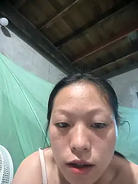 Zerin nova online show from 1, 11, 2025