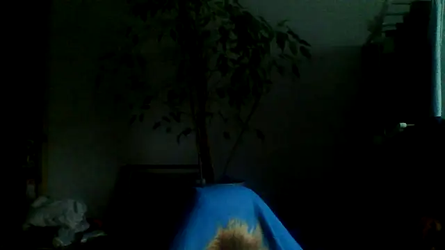 Snapshot of Macknow chatting on 14, 10, 2025 Macknow online show from 14, 10, 2025