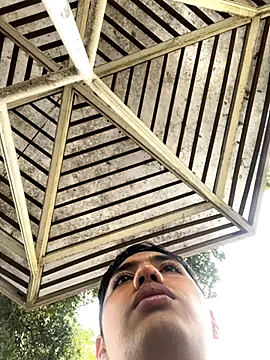 Flirtdick03 online show from 21, 10, 2025