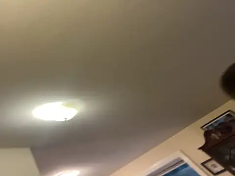 custardnmypie online show from 10, 11, 2025