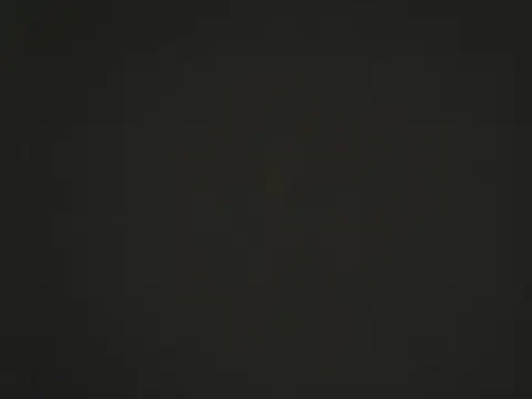 nier 2  online show from 10, 10, 2025