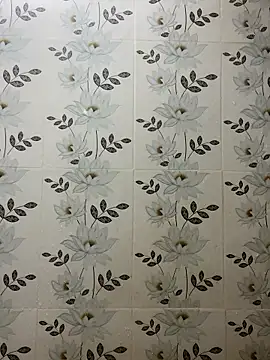 Nipa59 online show from 7, 11, 2025