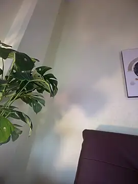 Snapshot of NovaFoxx chatting on 15, 2, 2026 NovaFoxx online show from 15, 2, 2026