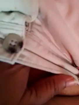 svk 05 online show from 18, 12, 2025