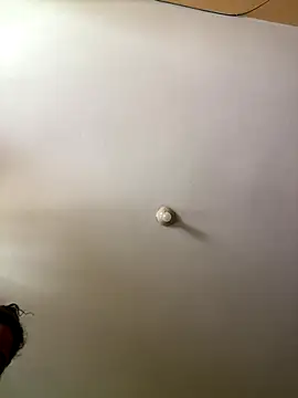 Techi0525 online show from 16, 12, 2025