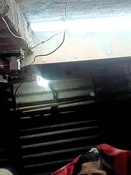 Rajni chauhan online show from 7, 11, 2025