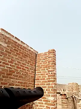 Rajni chauhan online show from 20, 2, 2026