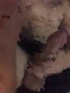 Osonhodelas online show from 11, 1, 2026