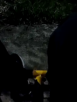 roludao fun online show from 5, 11, 2025