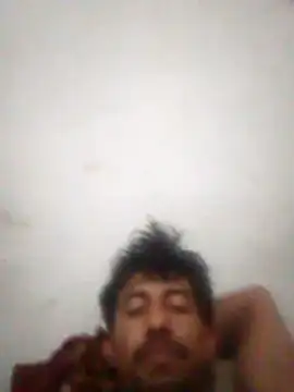 Orlao25cm online show from 16, 3, 2026