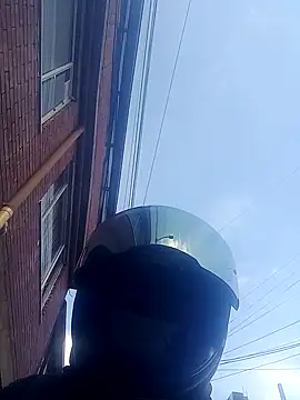 DenotedCattle97 online show from 7, 11, 2025