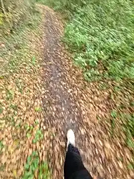 bbyxklaus online show from 6, 11, 2025