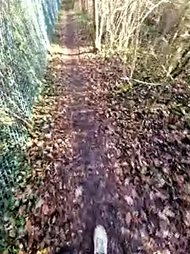 bbyxklaus online show from 19, 12, 2025