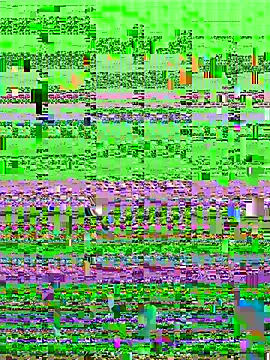 aaaaawhate online show from 9, 3, 2026