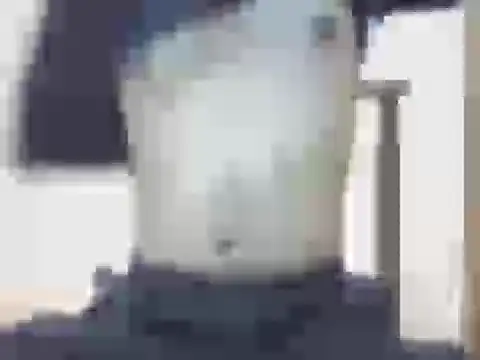 Snapshot of nick2445 chatting on 22, 3, 2026 nick2445 online show from 22, 3, 2026