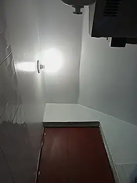 celeste 83 online show from 27, 10, 2025