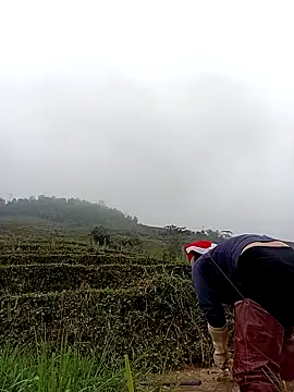 Snapshot of kokoto-59 chatting on 11, 3, 2026 kokoto-59 online show from 11, 3, 2026