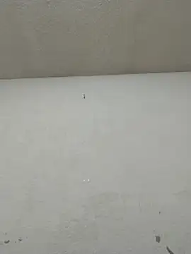 Snapshot of Chicattoo69 chatting on 20, 11, 2025 Chicattoo69 online show from 20, 11, 2025