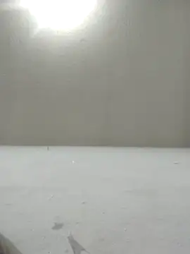 Snapshot of Chicattoo69 chatting on 2, 12, 2025 Chicattoo69 online show from 2, 12, 2025