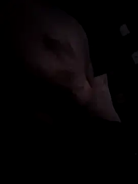 Djemi 7 online show from 4, 3, 2026