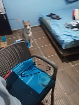 666Daemon666 online show from 17, 1, 2026