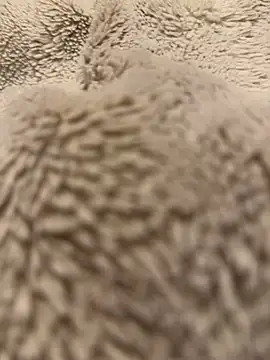 Snapshot of Jackoff2345 chatting on 18, 2, 2026 Jackoff2345 online show from 18, 2, 2026