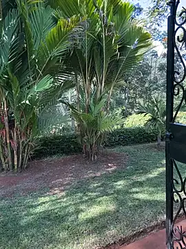 Snapshot of BubblesLovexox chatting on 4, 4, 2026 BubblesLovexox online show from 4, 4, 2026