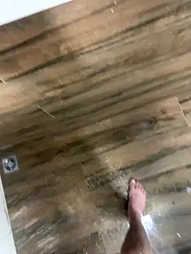 bfelipedasilva online show from 4, 12, 2025