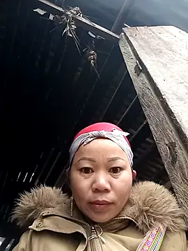 -Heli- online show from 2, 2, 2026