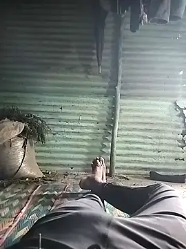 WettedGlimpse online show from 1, 12, 2025