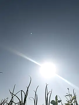 Snapshot of devil_boy_0909 chatting on 5, 3, 2026 devil boy 0909 online show from 5, 3, 2026