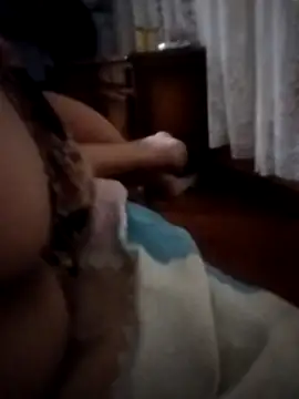 pampa4456 online show from 16, 12, 2025